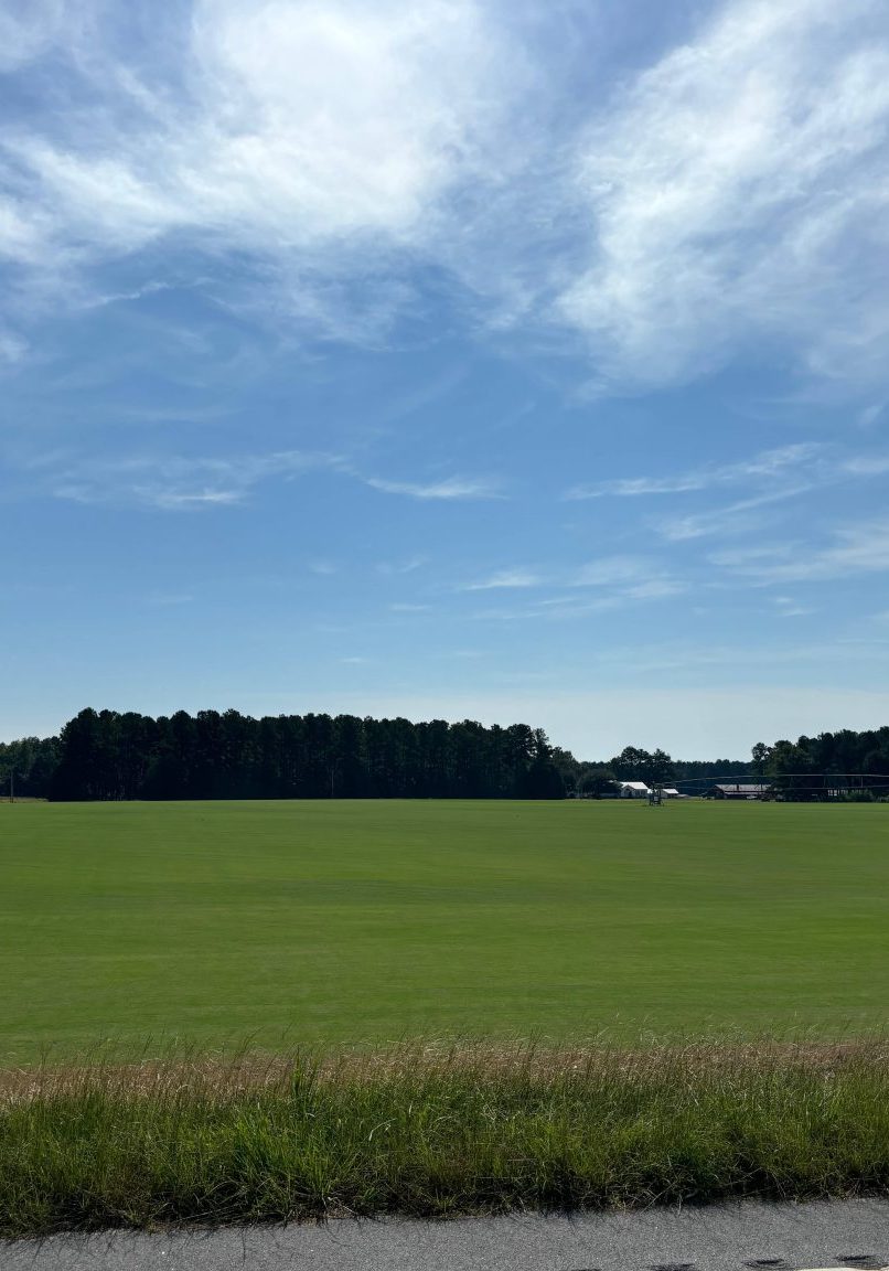 IMG 2197 (1)