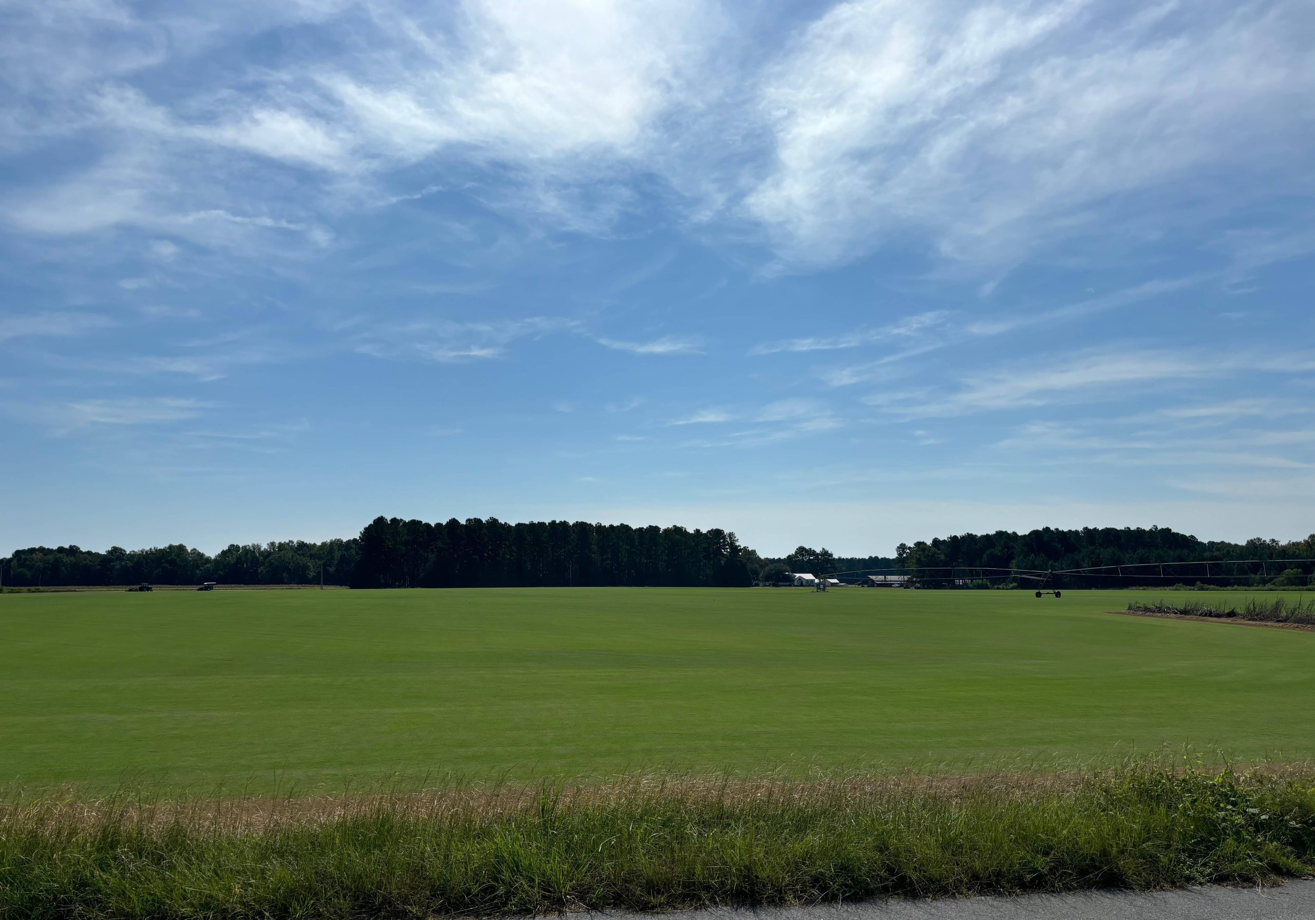 IMG 2197 (1)